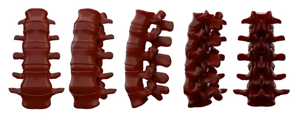 3drendering illustration of vertebrae