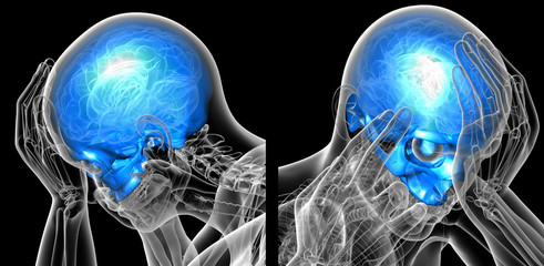 3d rendering medical illustration of the upper skull