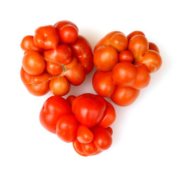 Reisetomate, Tomate, Lycopersicon, esculentum