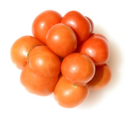 Reisetomate, Tomate, Lycopersicon, esculentum