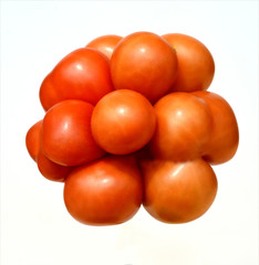 Reisetomate, Tomate, Lycopersicon, esculentum