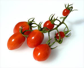 Pflaumen-Buschtomate, Romello, F1, Lycopersicon, esculentum