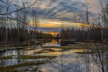 Siberian swamps