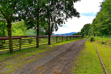 Fototapeta na wymiar Road in the countryside walking near the fence and forest. With a mountain top visible in the distance.