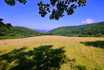 green pasture in an open lawn near the village at the foot of the mountains