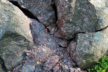 A large chopped granite lies in the forest. Russia, the Leningrad Region.