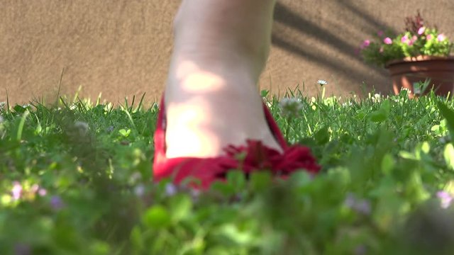 Closeup view woman feet legs walking green grass