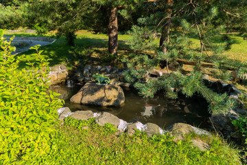 Sculpture of a frog of a poisonous green color sitting on a rock in a small pond surrounded by rocks on the shores in the shade of magnificent firs.