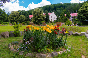 Flowerbed with red and orange lilies on a high green leg against the backdrop of the buildings of the hotel complex