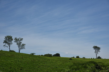 日本の山の夏の空