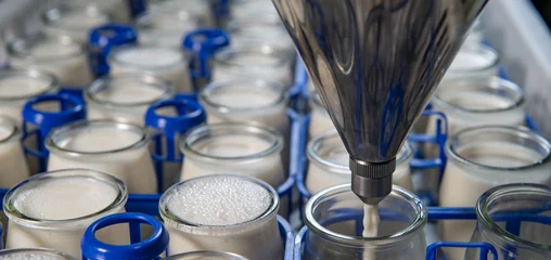 Küchenrückwand glas motiv Herstellung von Joghurt in einem Bauernhof, hausgemachter Kuhmilchjoghurt © FreeProd
