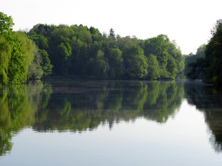 dense forest on the bank of the mirror river