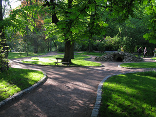 The sidewalk is interwoven in different directions in a green park