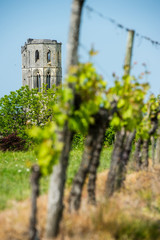 Abbey de la Sauve-Majeure, Route to Santiago de Compostela, Gironde, UNESCO