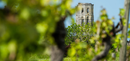 Abbey de la Sauve-Majeure, Route to Santiago de Compostela, Gironde, UNESCO