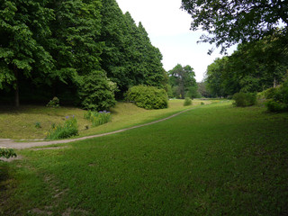 A narrow propedata path through a green meadow near a pitcher with flowers irises. Uman Ukraine
