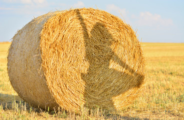 Gizemli Kadının Gölge Oyunu