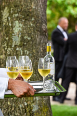 Professional waiter in uniform is serving wine