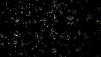 3d rendering of macro photo of a dandelion on black background
