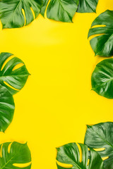 Tropical monstera leaves on yellow background