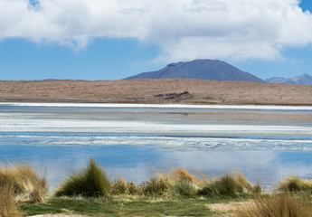 Altiplanic High Altitude Lake in Bolivia Desert, Uyuni