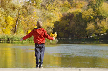 Boy in red jacket standing on the dock. Leaves in hand. Autumn, sunny. Back view