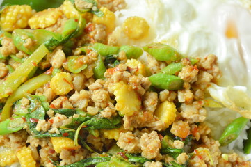 spicy stir fried minced pork with basil leaf topping egg on rice in white foam box packing