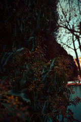 Outside © Marcin