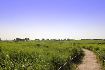 An image of nature consisting of blue sky and fields