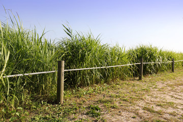 An image of nature consisting of blue sky and fields