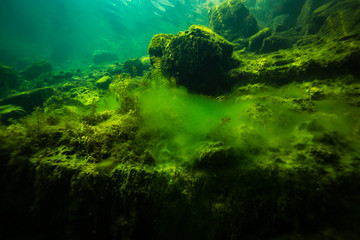 At the bottom of the river