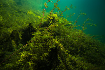 At the bottom of the river