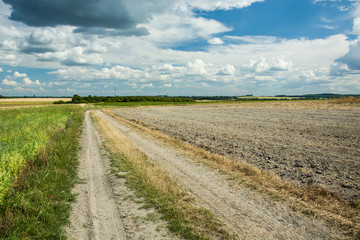 Obraz premium Country road, plowed field and clouds in the sky