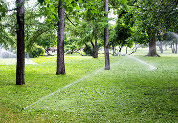 irrigation of the lawn