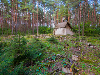 An abandoned house in a pine forest under a slate roof standing next to the broken rows of benches against the backdrop of green bushes.