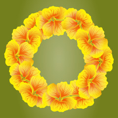 Bright Nasturtium wreath. Wild Yellow flowers. Beautiful Floral circle isolated on green background. Vector illustration. Card template for greeting, invitation and other design.Decorative round frame