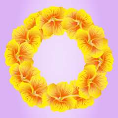 Bright Nasturtium wreath. Wild Yellow flowers. Beautiful Floral circle isolated on pink background. Vector illustration.Card template ror greeting, invitation and other design. Decorative round frame.