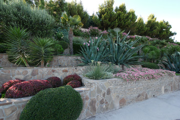 beautiful Yukki, palm trees, flowers and other shrubs are harmoniously combined in the landscape design of the park.