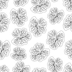Hibiscus flower print. Gorgeous nasturtium. Floral Pattern. Trendy seamless Fashion Texture. Black Line on white background. Vector botanical illustration for fabric, wrapping and other design. 