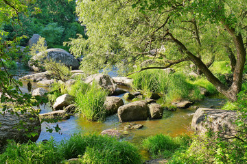 A small rapid river, flowing around stone boulders on its way against the backdrop of green trees and bushes
