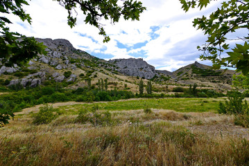 A beautiful landscape of nature with a green valley and mountain slopes dotted with stones