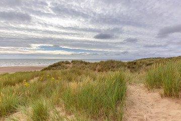 A pathway through sand dunes leading to the sea, at Formby in Merseyside