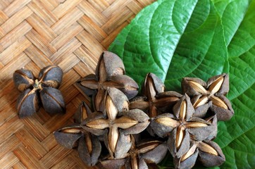 Seeds inca peanut or sacha peanut or sacha inchi or mountain peanut place on the wooden background. 