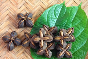 Seeds inca peanut or sacha peanut or sacha inchi or mountain peanut place on the wooden background. 