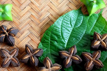 Seeds inca peanut or sacha peanut or sacha inchi or mountain peanut place on the wooden background. 