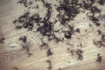 Cut hair on the floor in a barber salon