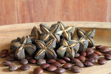 Seeds inca peanut or sacha peanut or sacha inchi or mountain peanut place on the wooden background. 