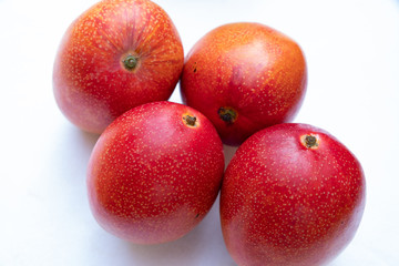 Fototapeta premium 太陽の卵マンゴー