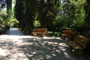Wooden benches in the park in a cozy picturesque place in the shade of trees next to the path is a...