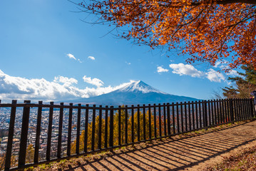 Autumn tree and Mount Fuji in Japan.
